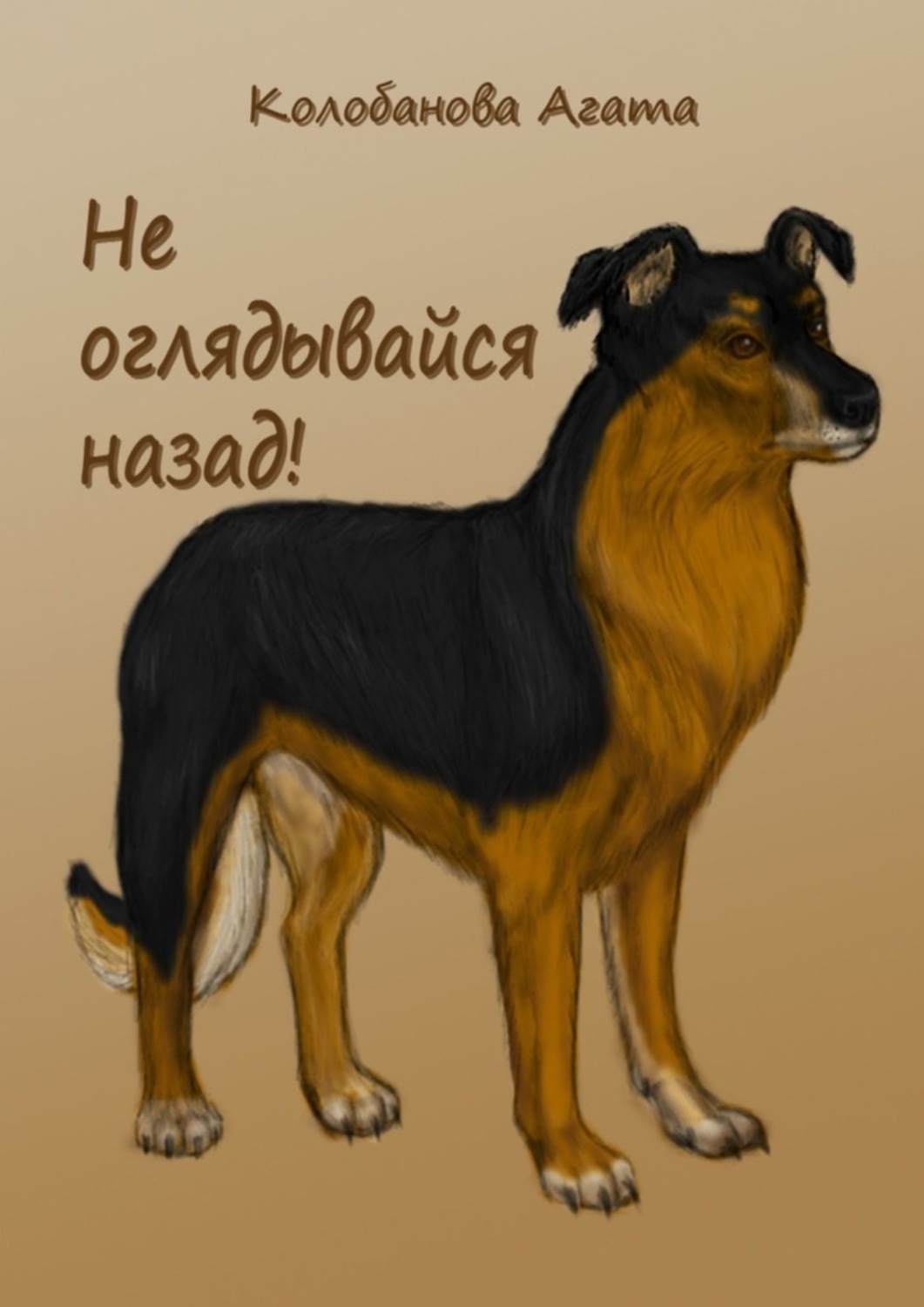 Обложка книги «Не оглядывайся назад!»