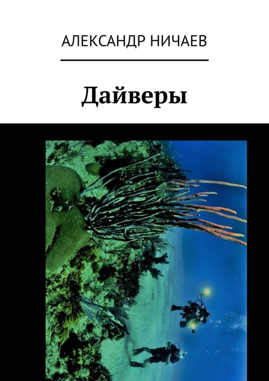 Обложка книги «Дайверы»