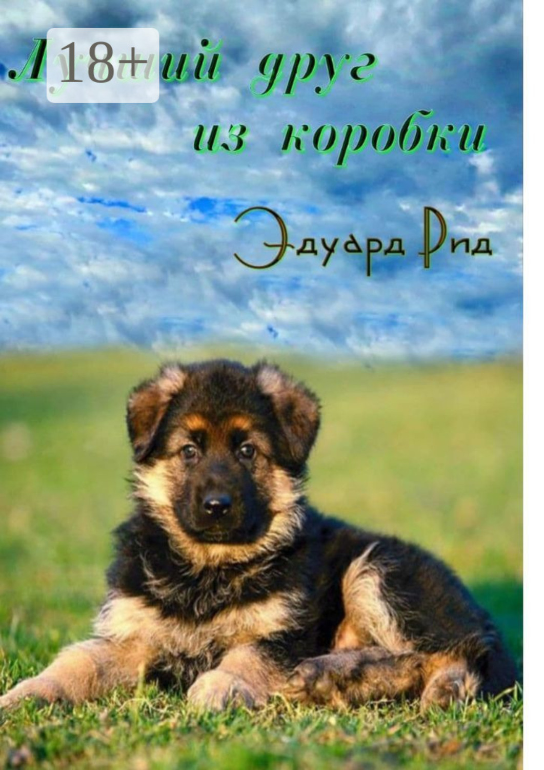 Обложка книги «Лучший друг из коробки»