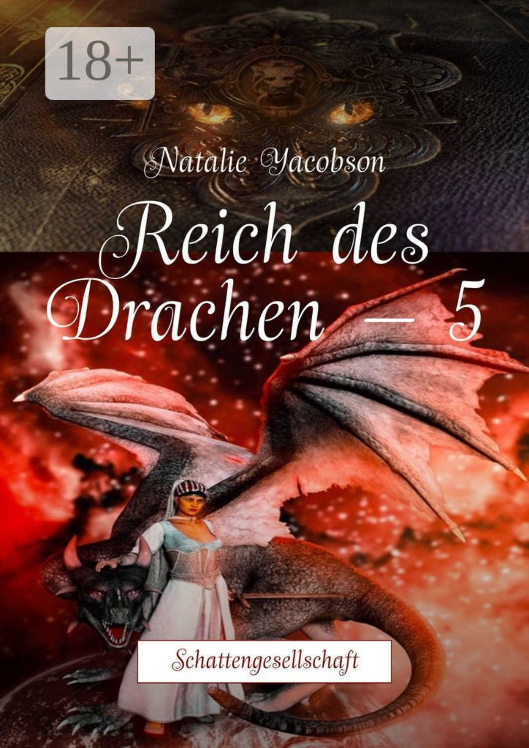 Обложка книги «Reich des Drachen – 5. Schattengesellschaft»
