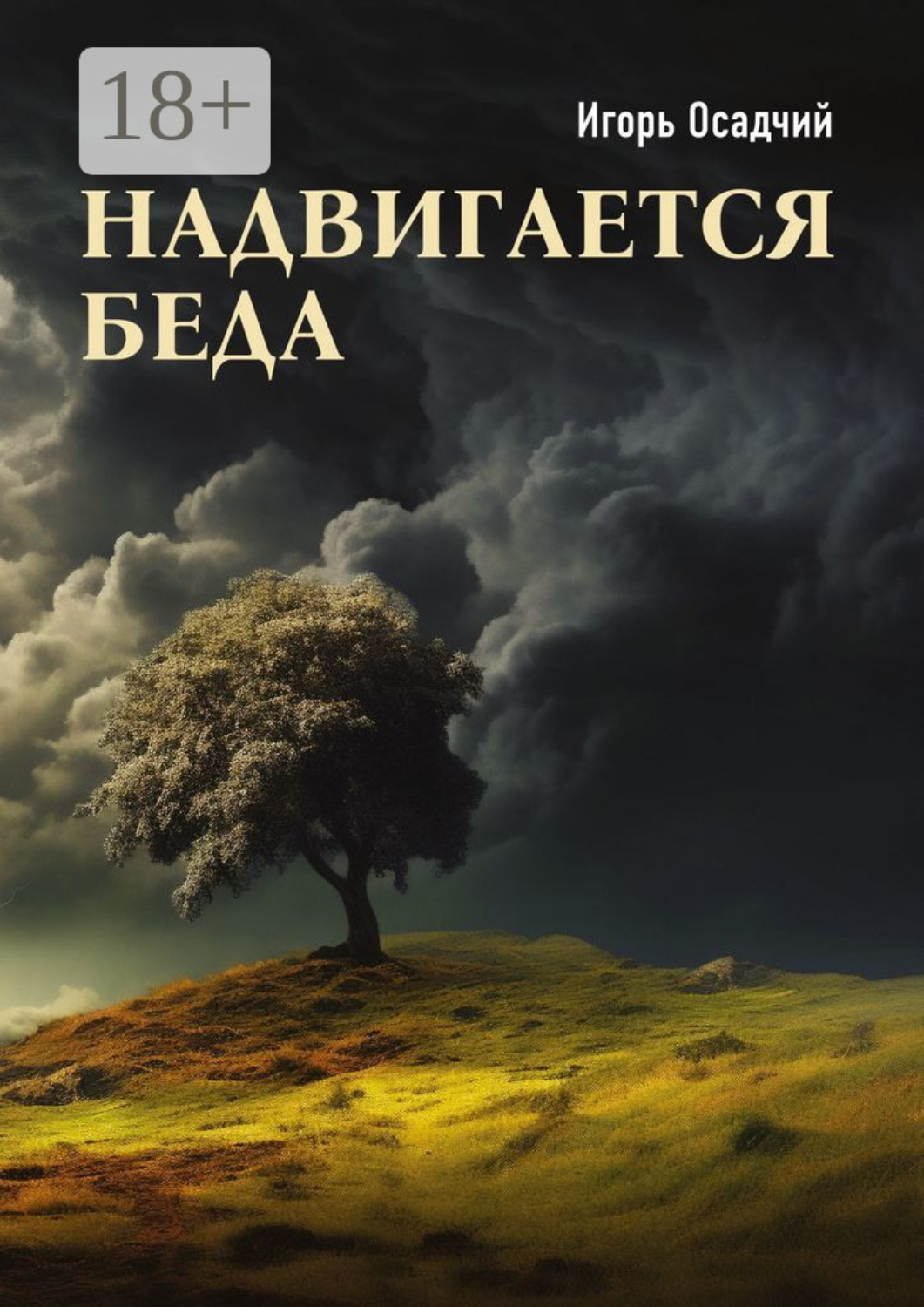Обложка книги «Надвигается беда»