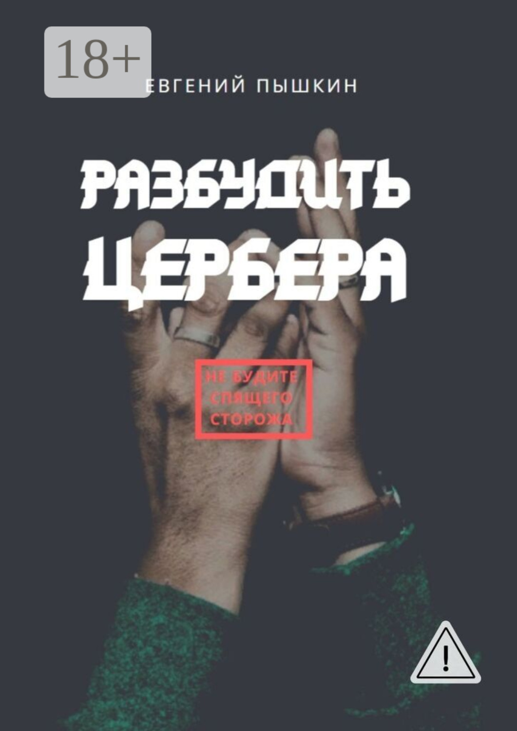 Обложка книги «Разбудить цербера»