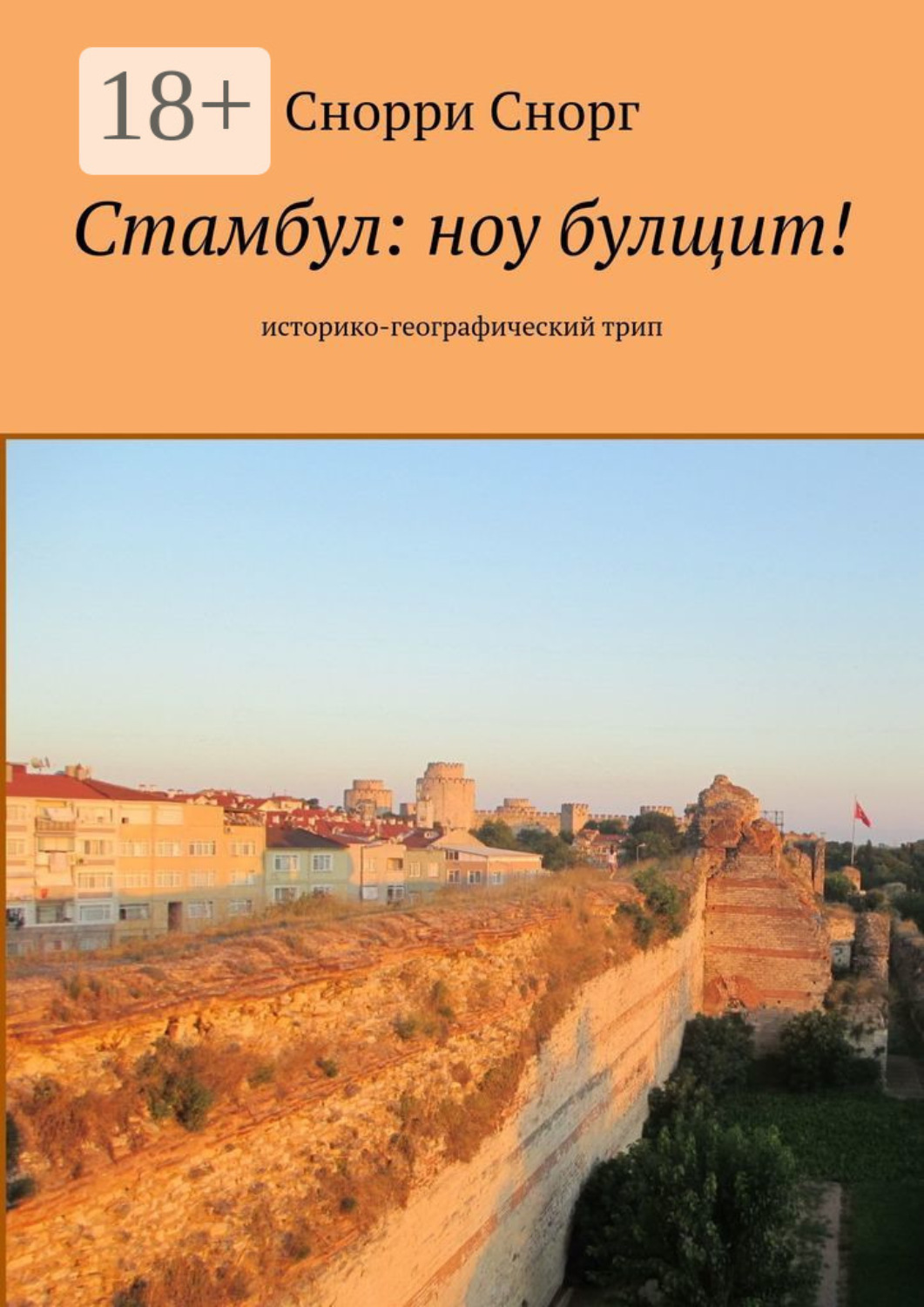 Обложка книги «Стамбул: ноу булщит! Историко-географический трип»