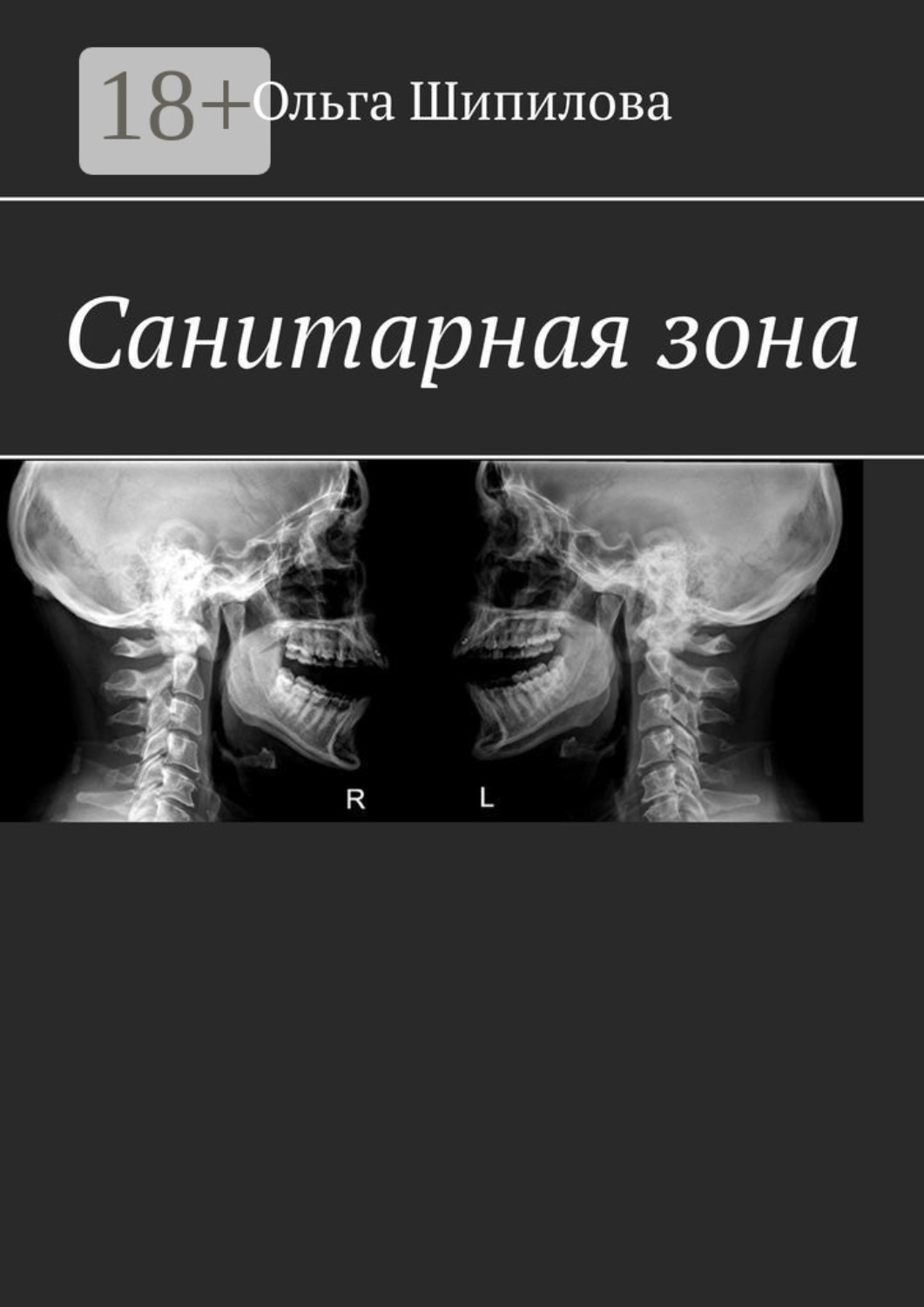 Обложка книги «Санитарная зона»