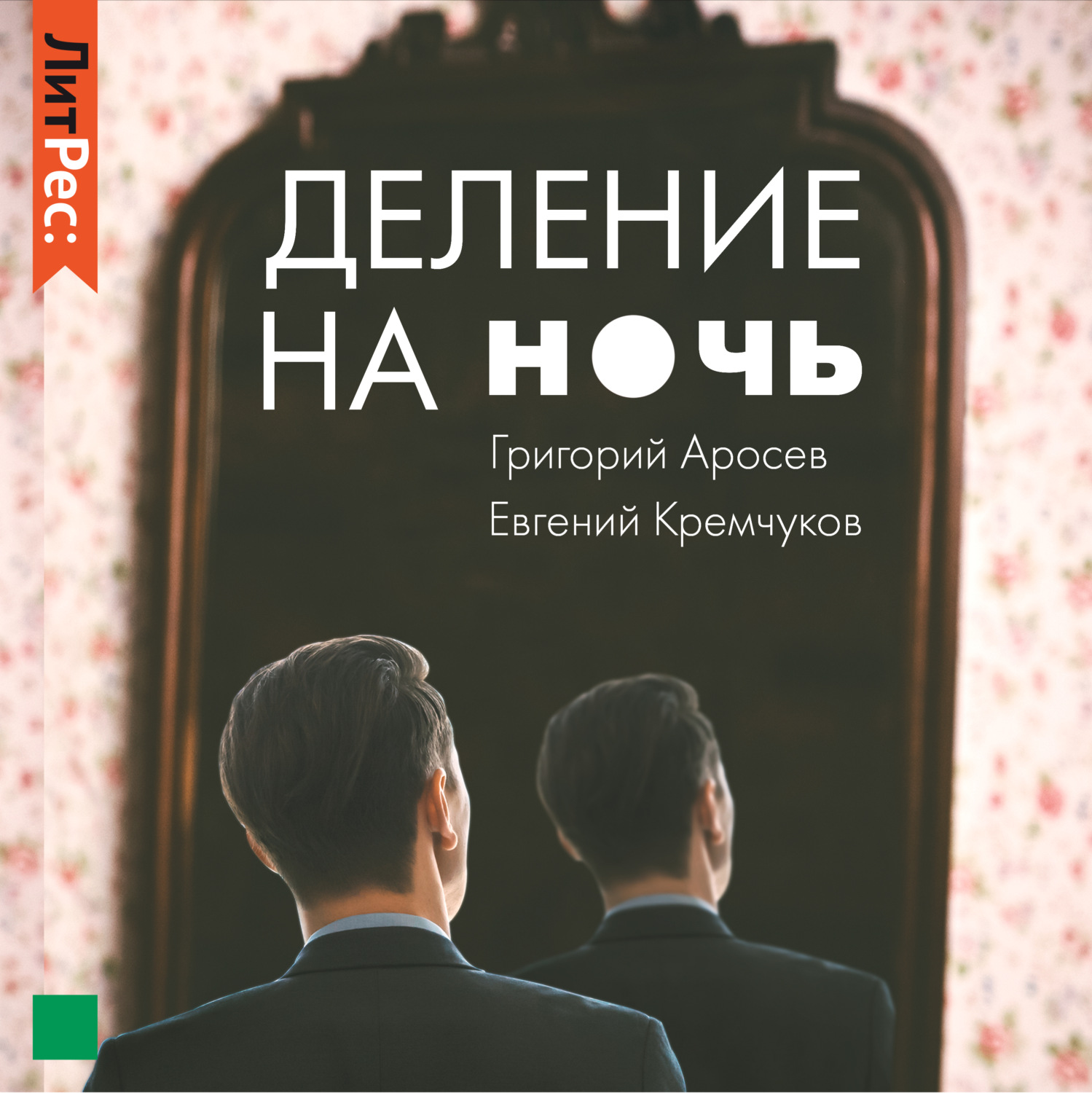 Обложка книги «Деление на ночь»
