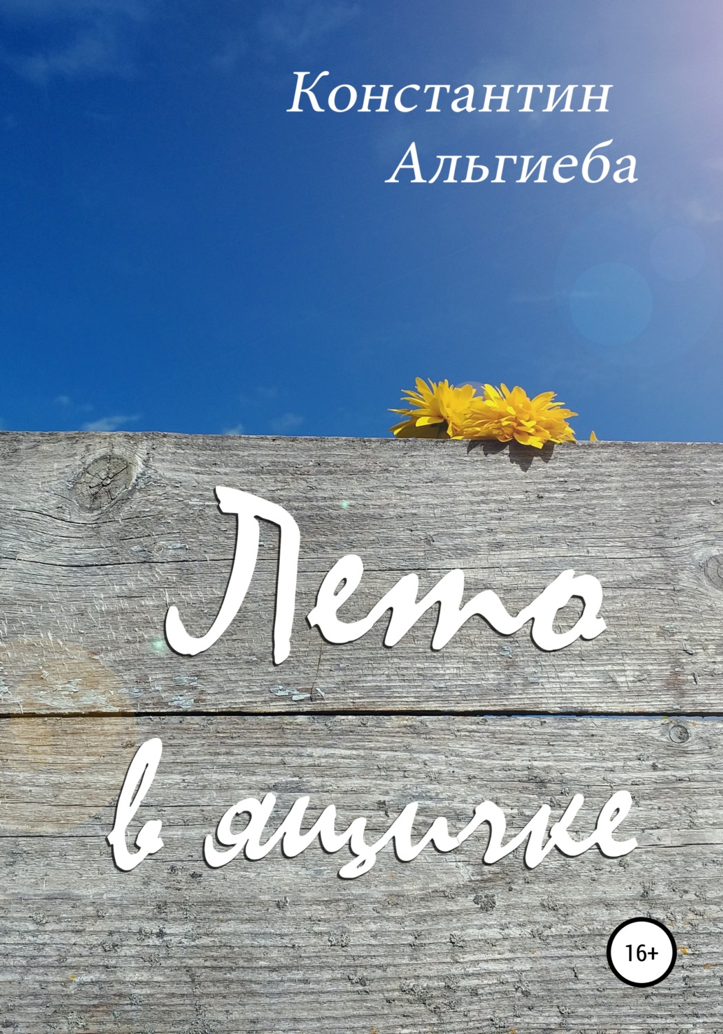 Обложка книги «Лето в ящичке»
