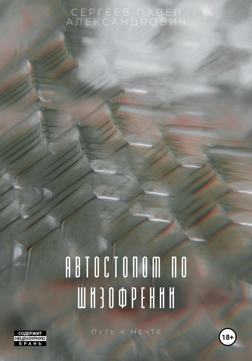 Обложка книги «Автостопом по шизофрении»