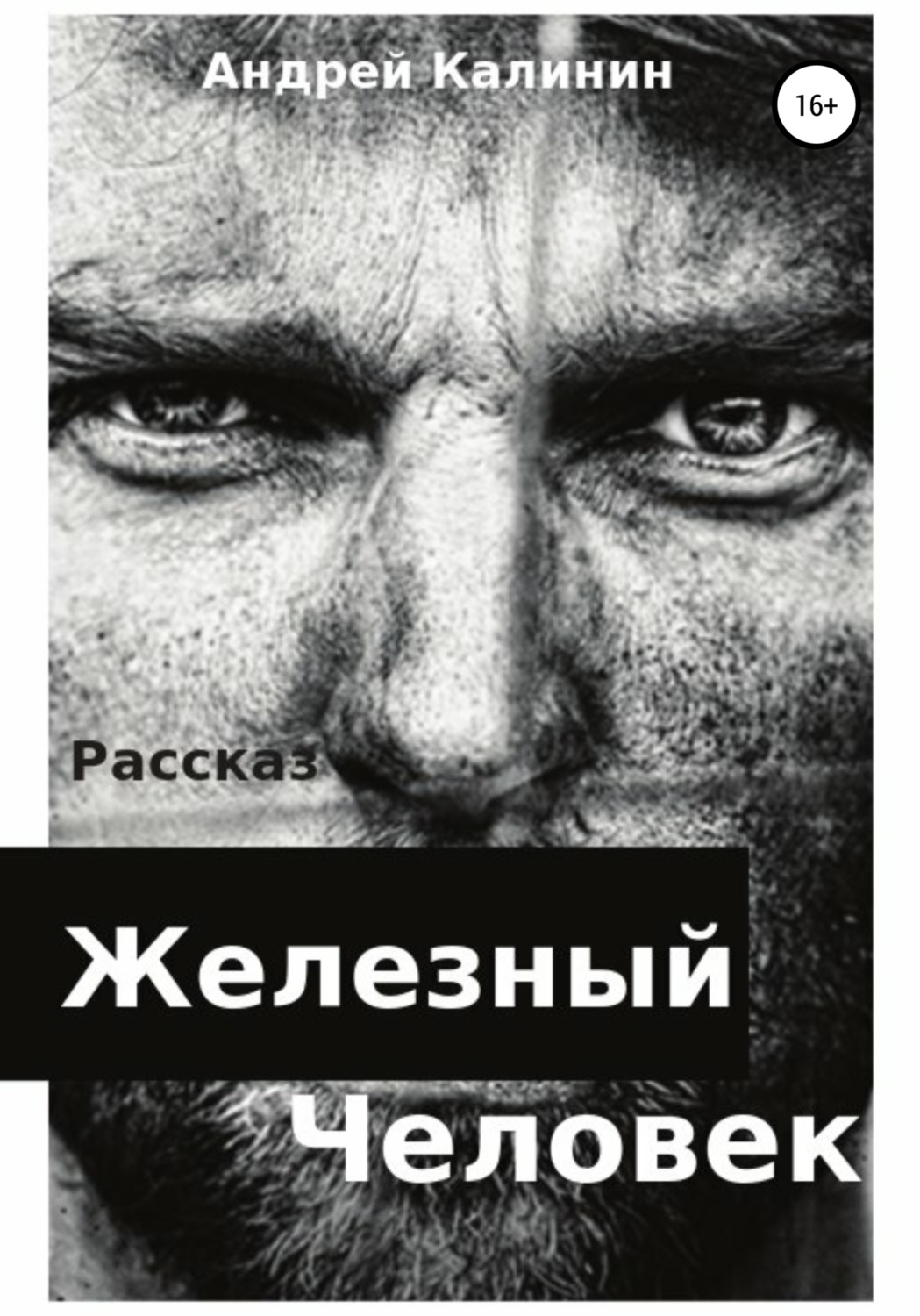Обложка книги «Железный Человек»
