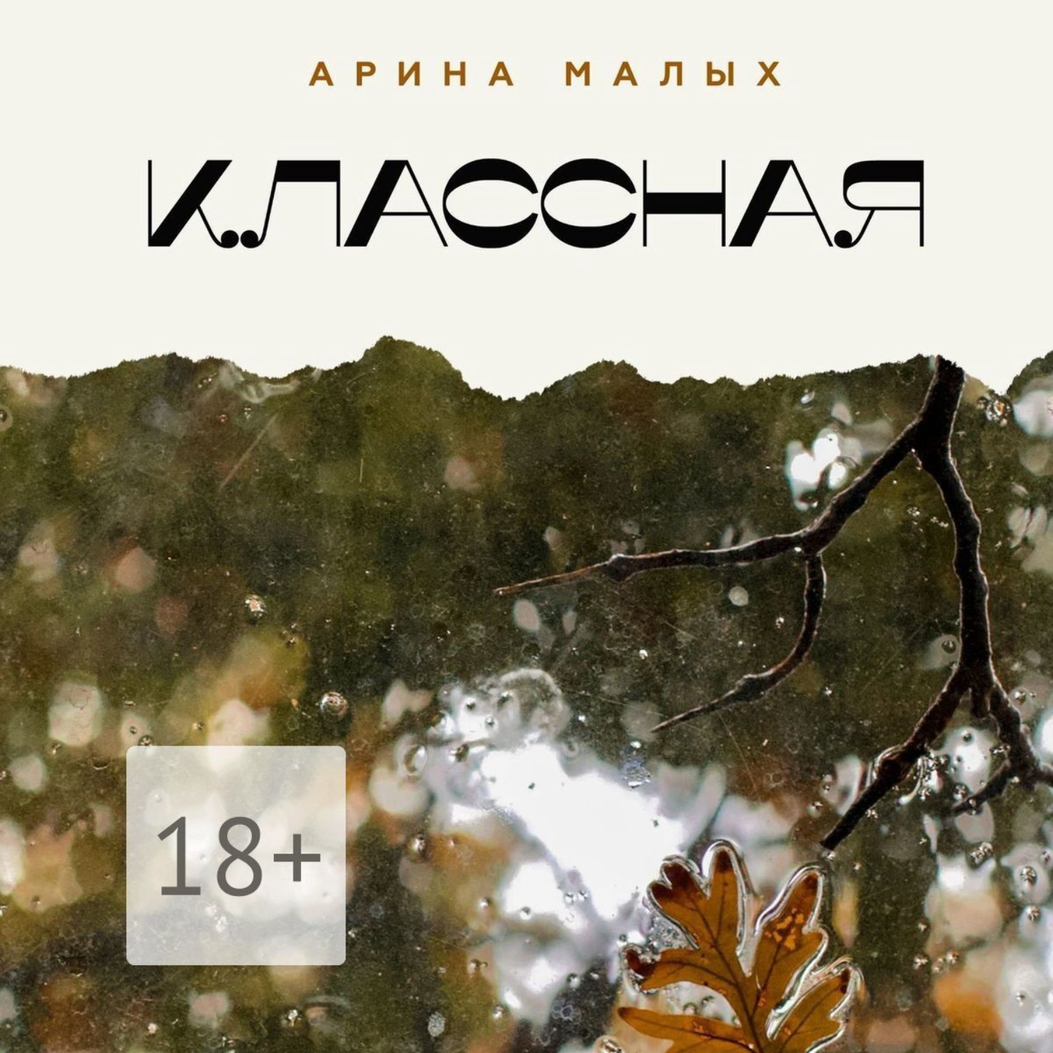 Обложка книги «Классная»