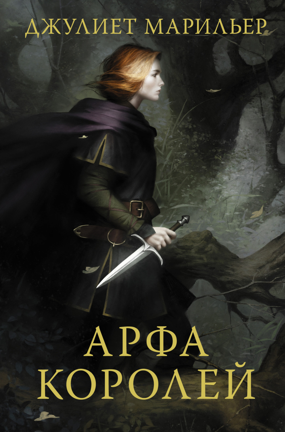Обложка книги «Арфа королей»