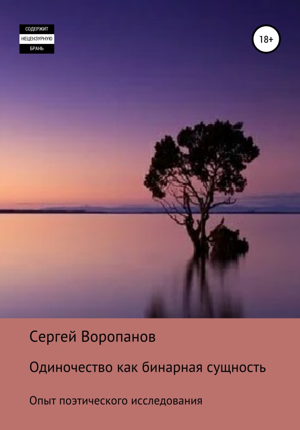 Обложка книги «Одиночество как бинарная сущность. Опыт поэтического исследования»
