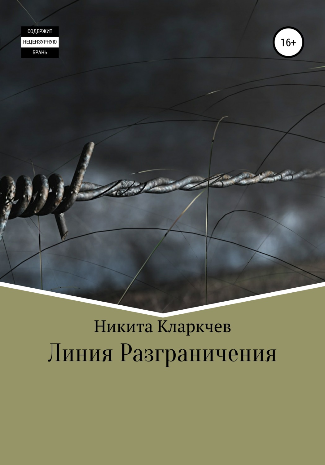 Обложка книги «Линия разграничения»