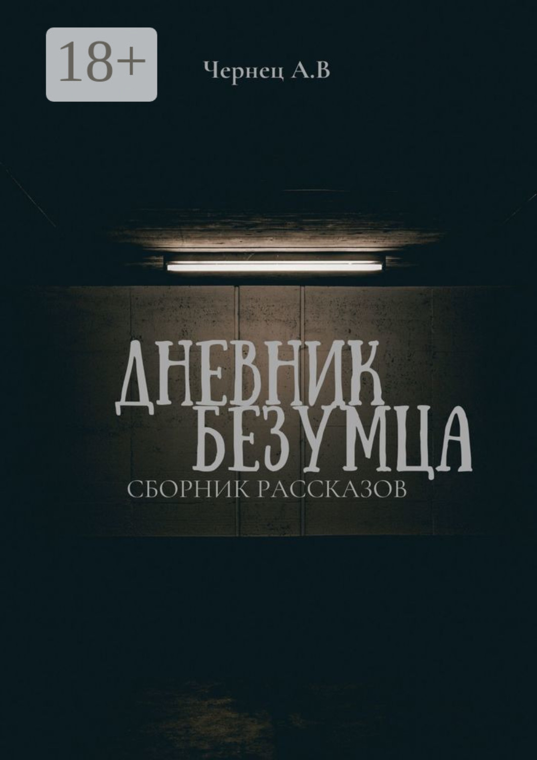 Обложка книги «Дневник Безумца»