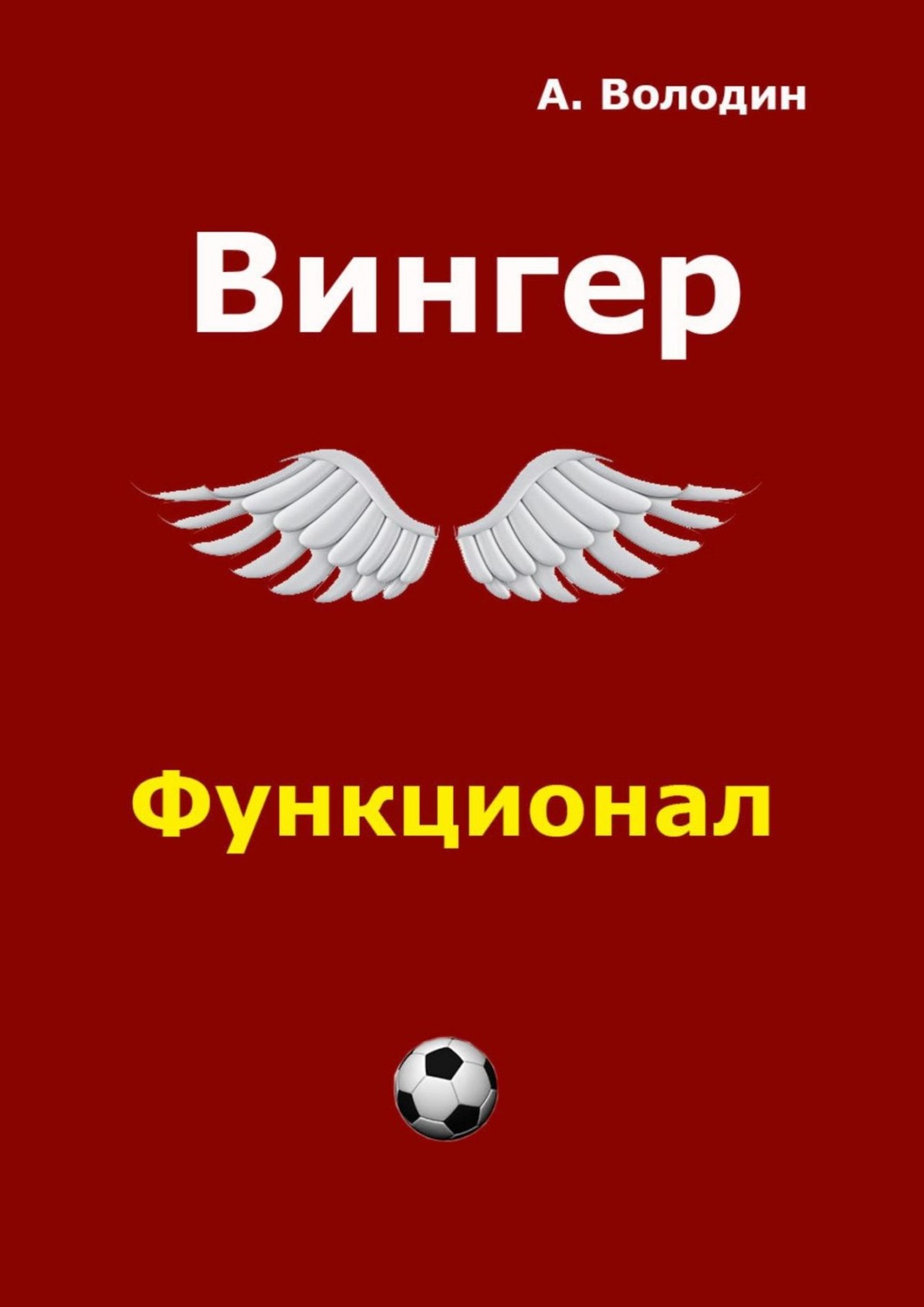 Обложка книги «Вингер»