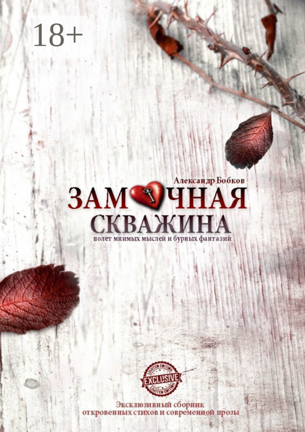 Обложка книги «Замочная скважина. Полет мнимых мыслей и бурных фантазий»