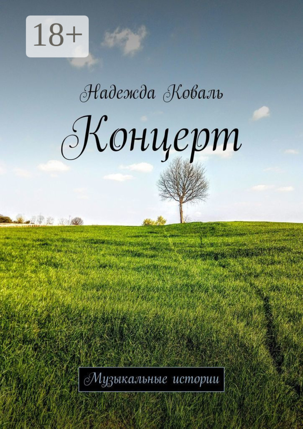 Обложка книги «Концерт. Музыкальные истории»