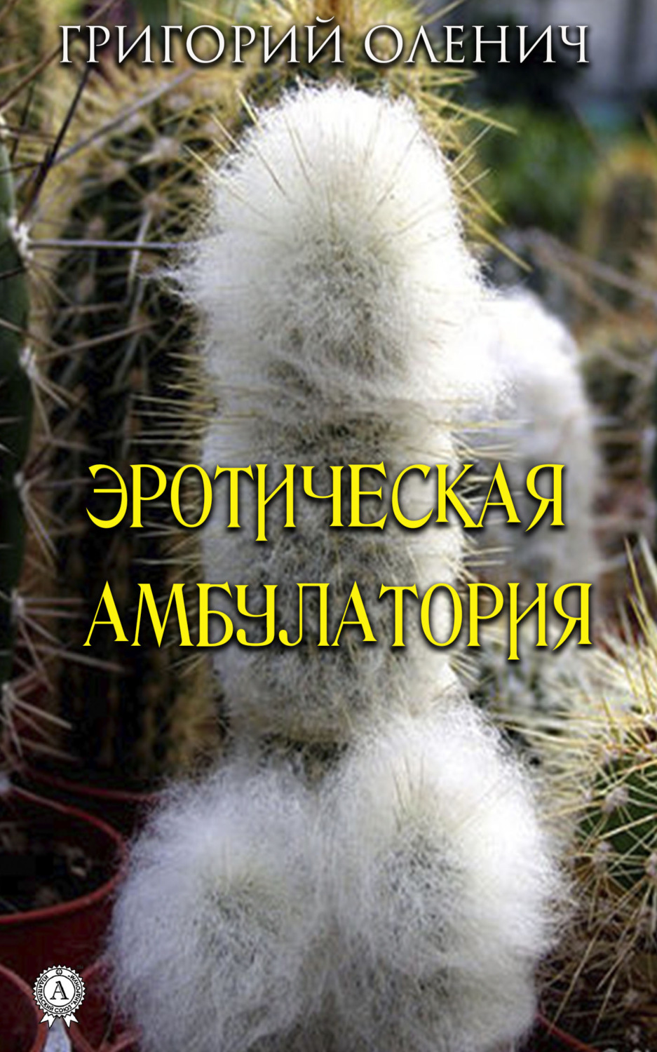 Обложка книги «Эротическая амбулатория»