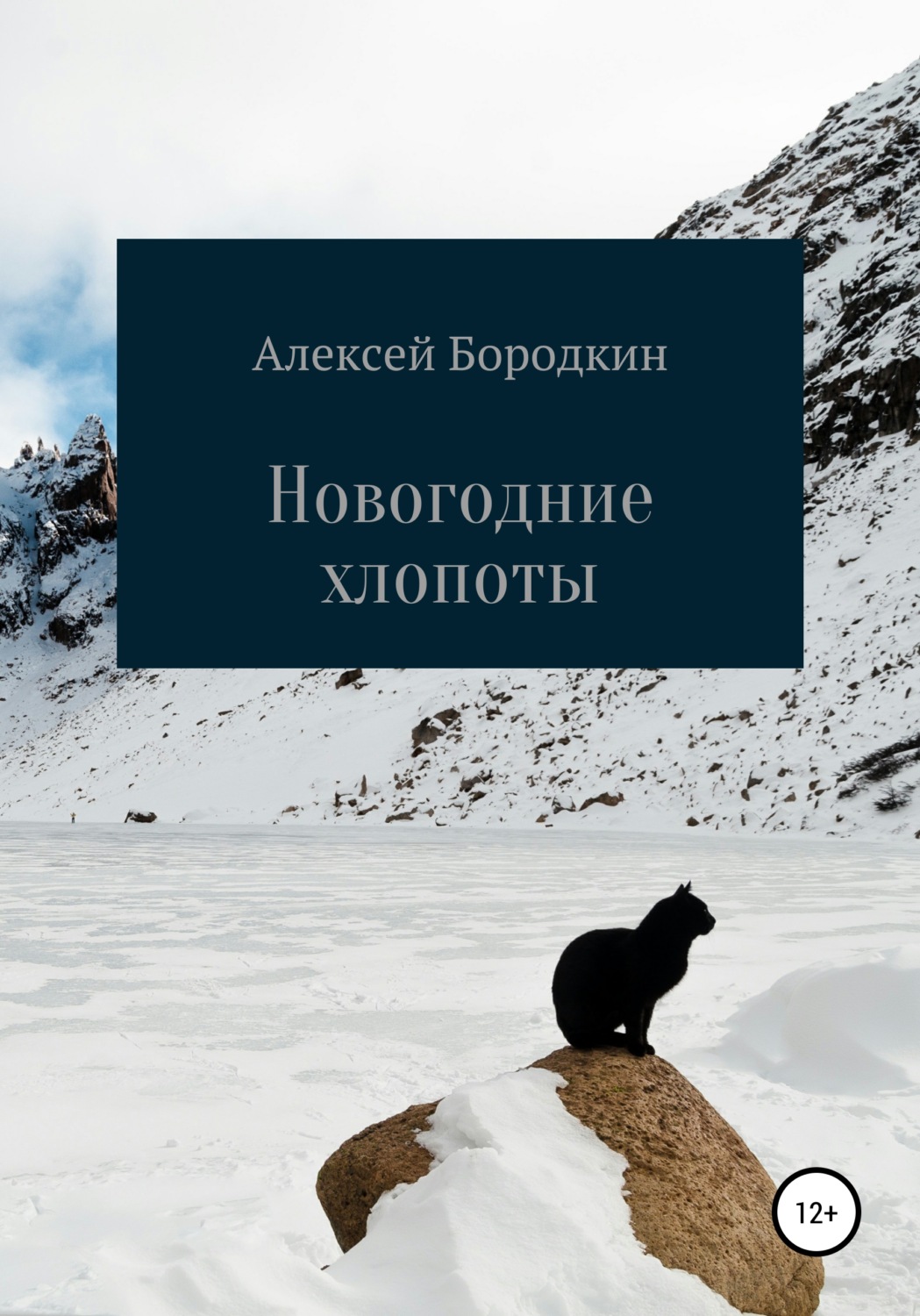 Обложка книги «Новогодние хлопоты»