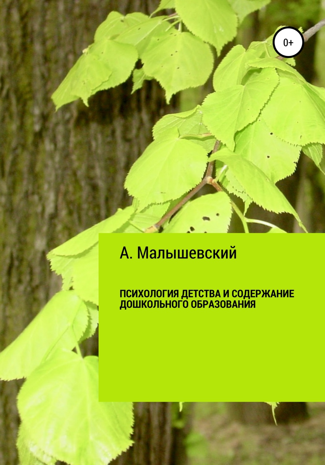 Обложка книги «Психология детства и содержание дошкольного образования»