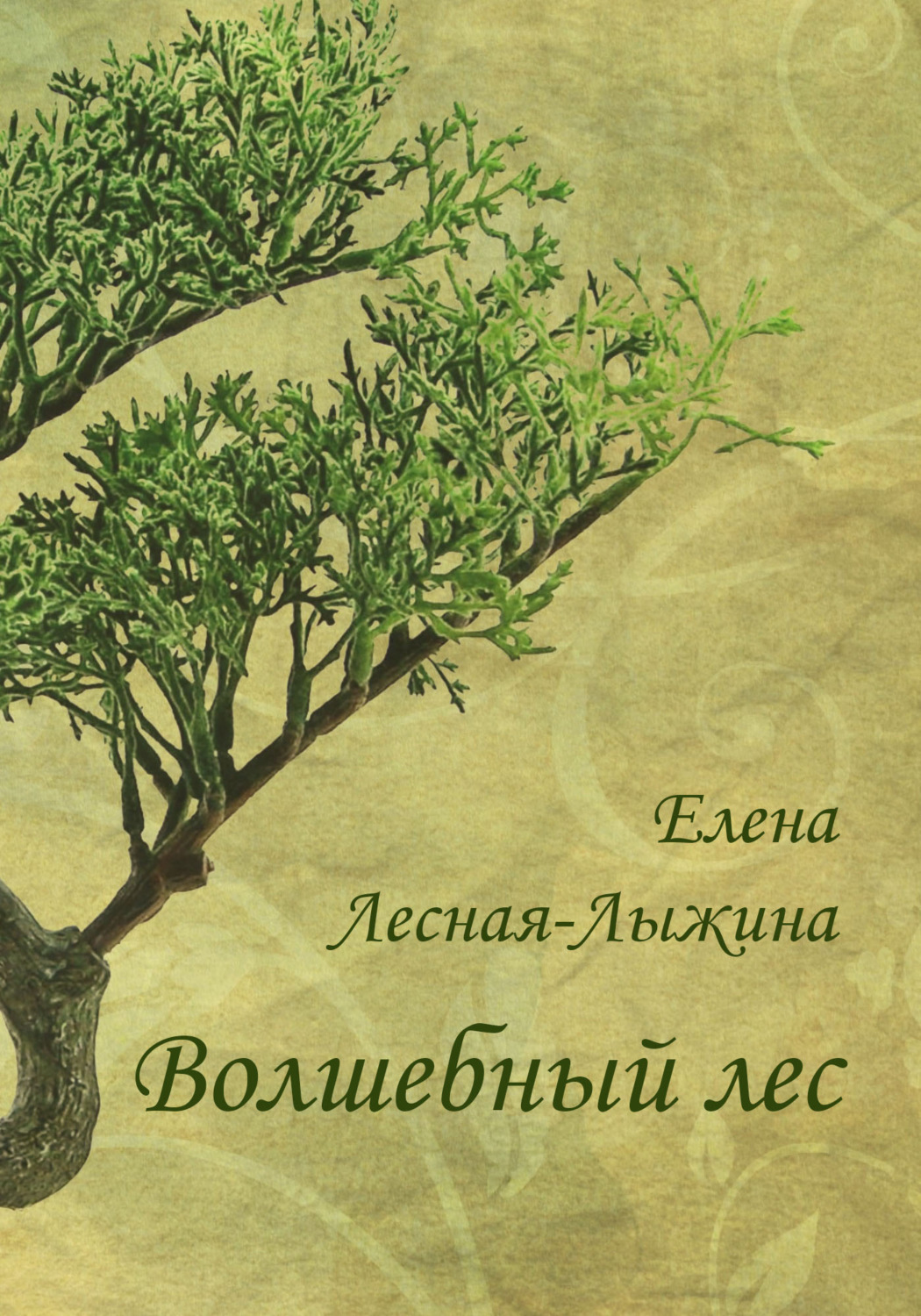 Обложка книги «Волшебный лес»