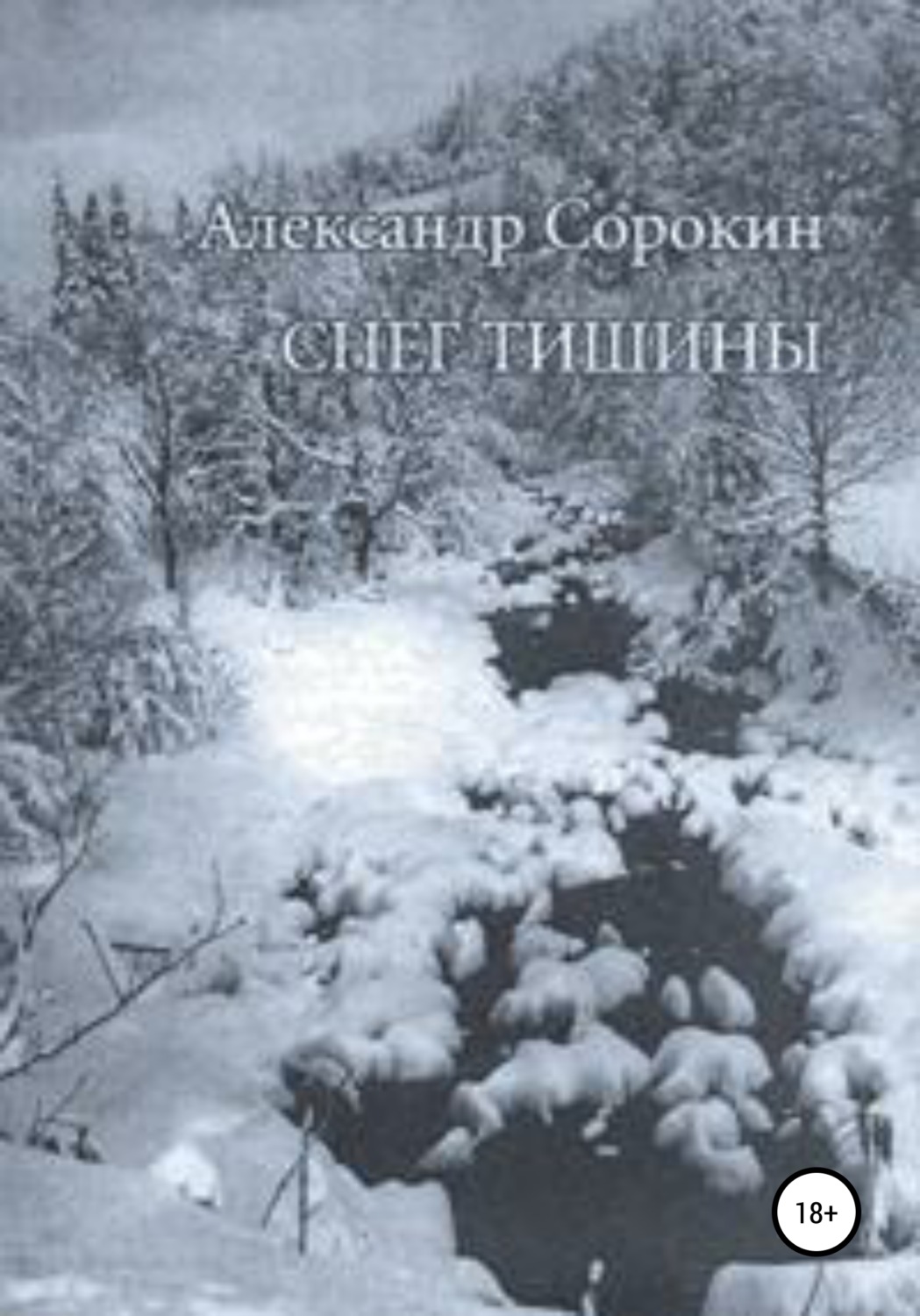 Обложка книги «Снег тишины»