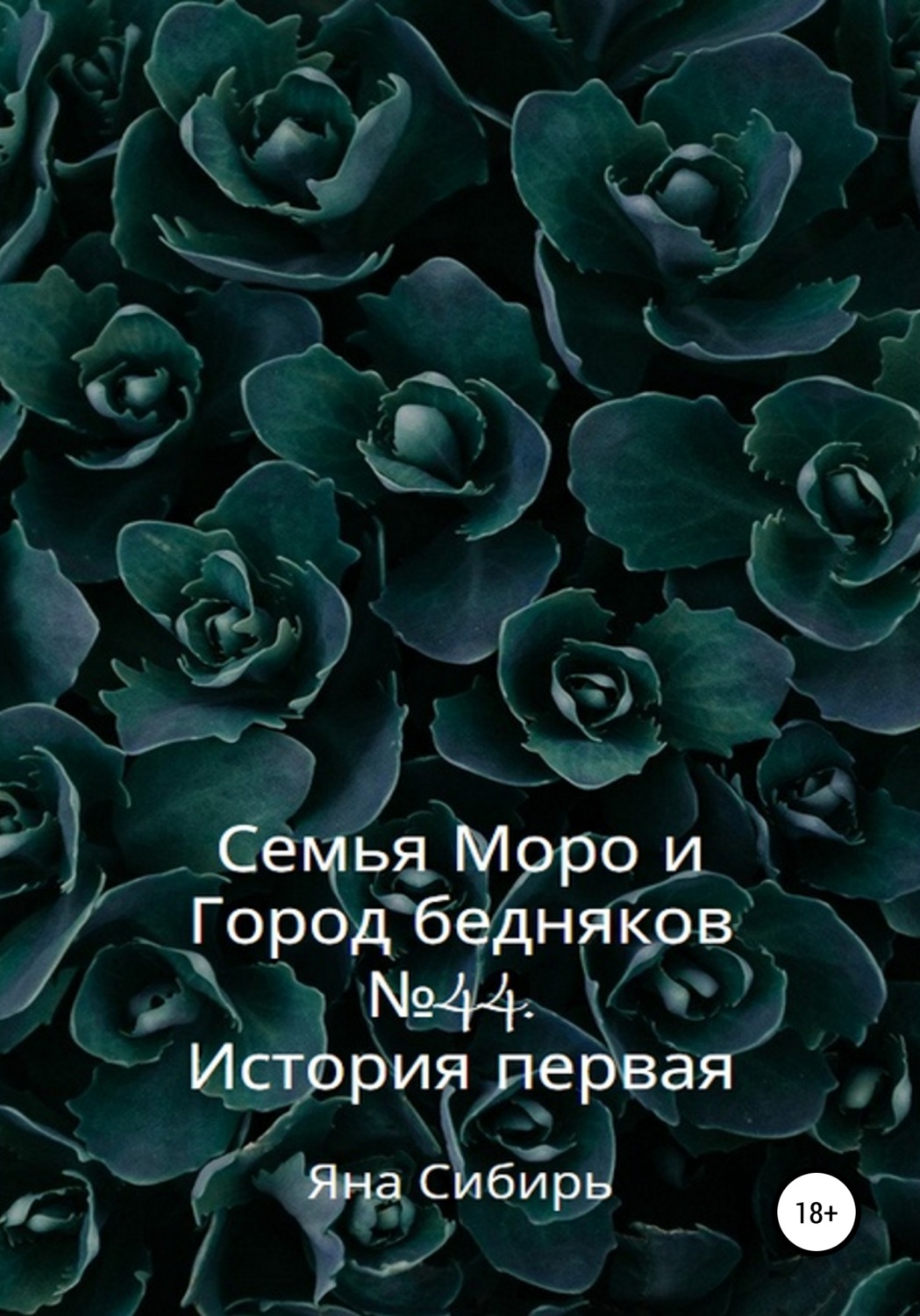 Обложка книги «Семья Моро и Город бедняков № 44. История первая»