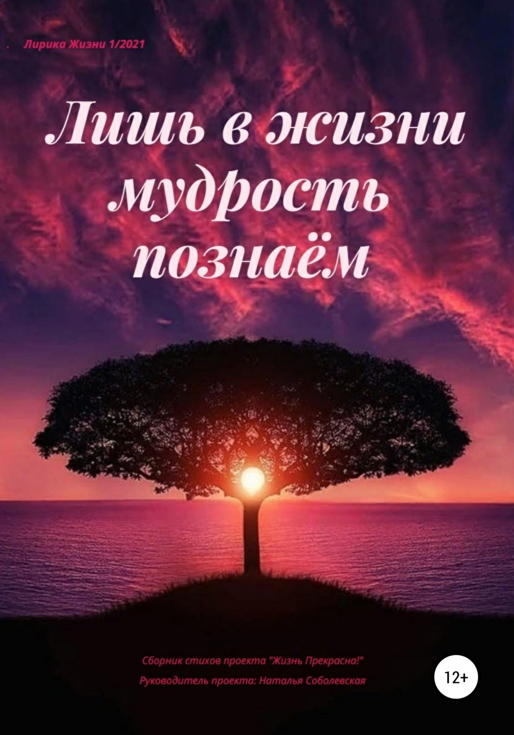 Обложка книги «Лишь в жизни мудрость познаём»