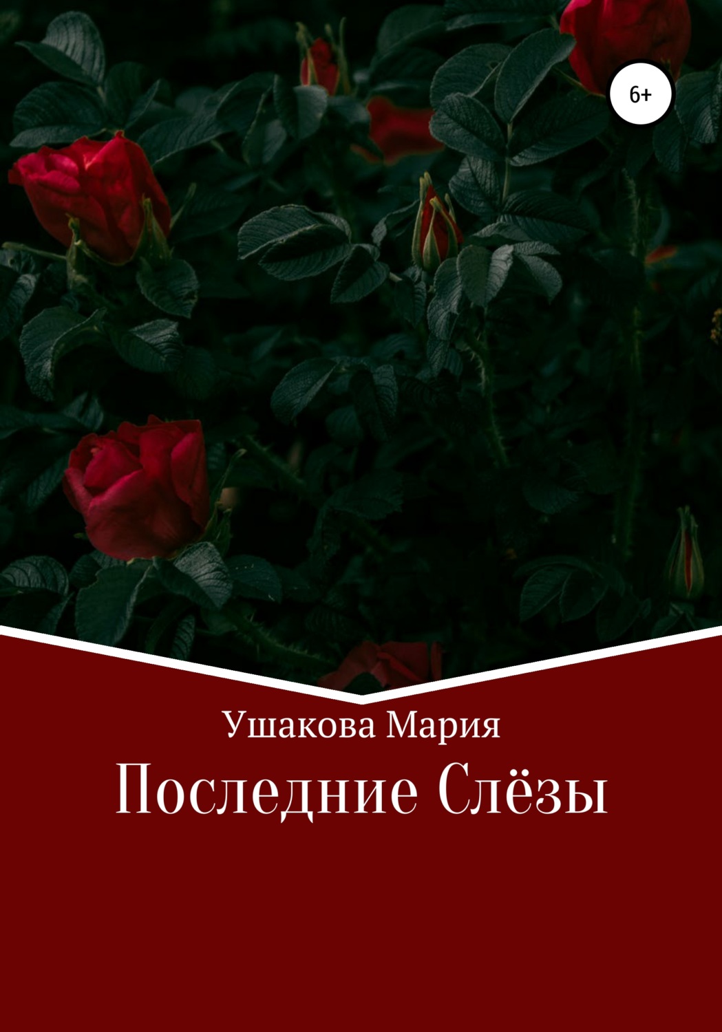 Обложка книги «Последние слёзы»