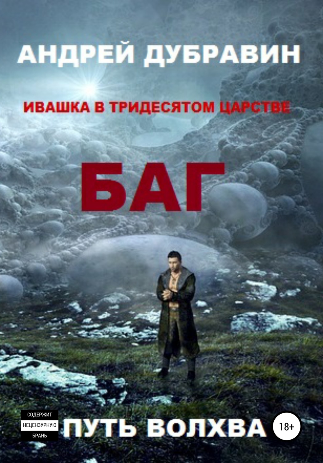 Обложка книги «БАГ»