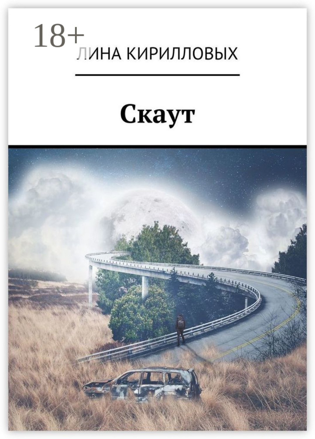 Обложка книги «Скаут»