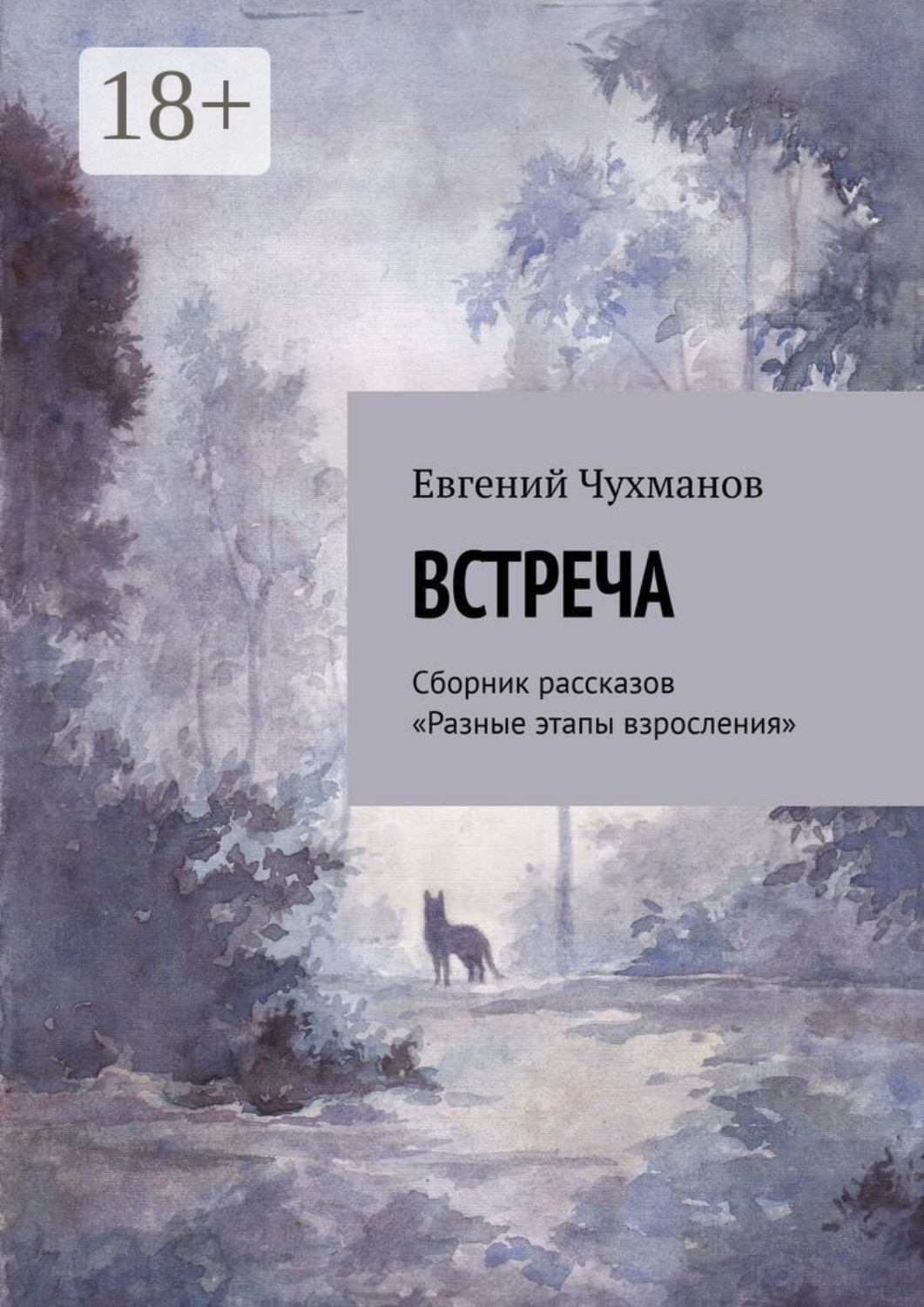 Обложка книги «Встреча. Сборник рассказов «Разные этапы взросления»»