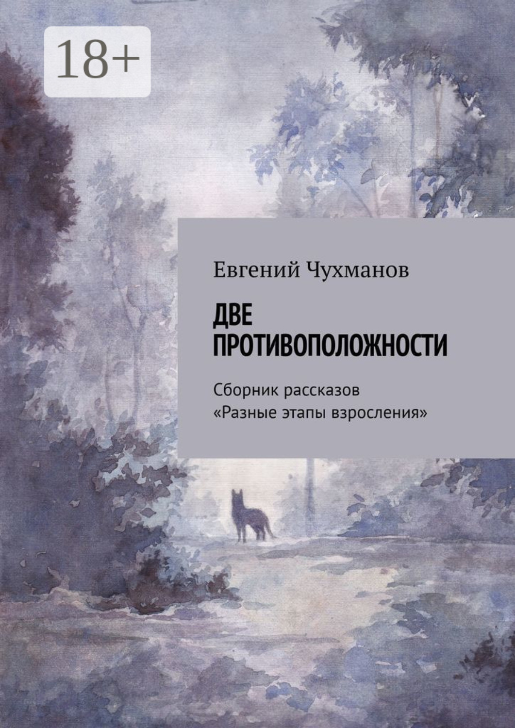 Обложка книги «Две противоположности. Сборник рассказов «Разные этапы взросления»»