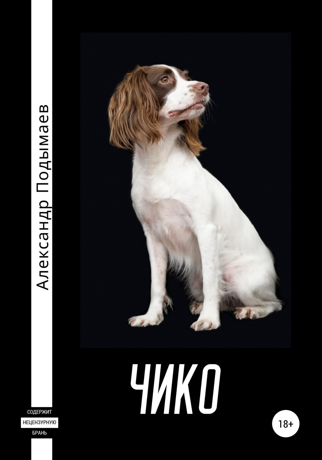Обложка книги «Чико»