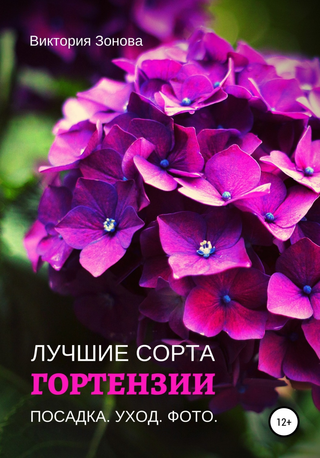 Обложка книги «Гортензии. Лучшие сорта»