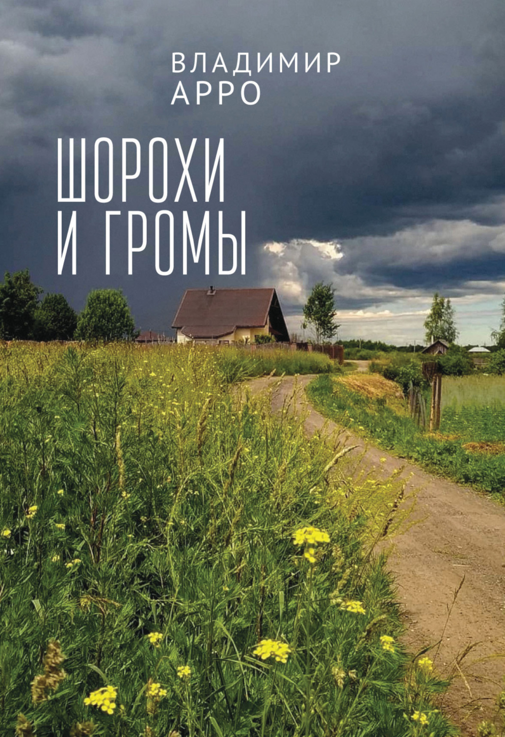 Обложка книги «Шорохи и громы»
