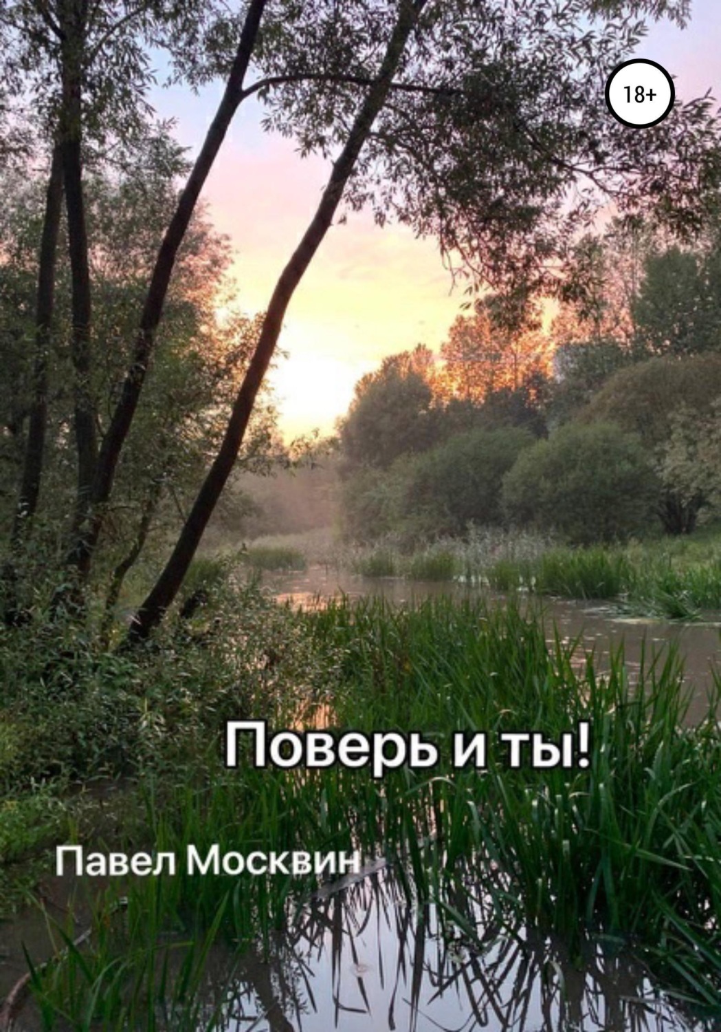 Обложка книги «Поверь и ты!»