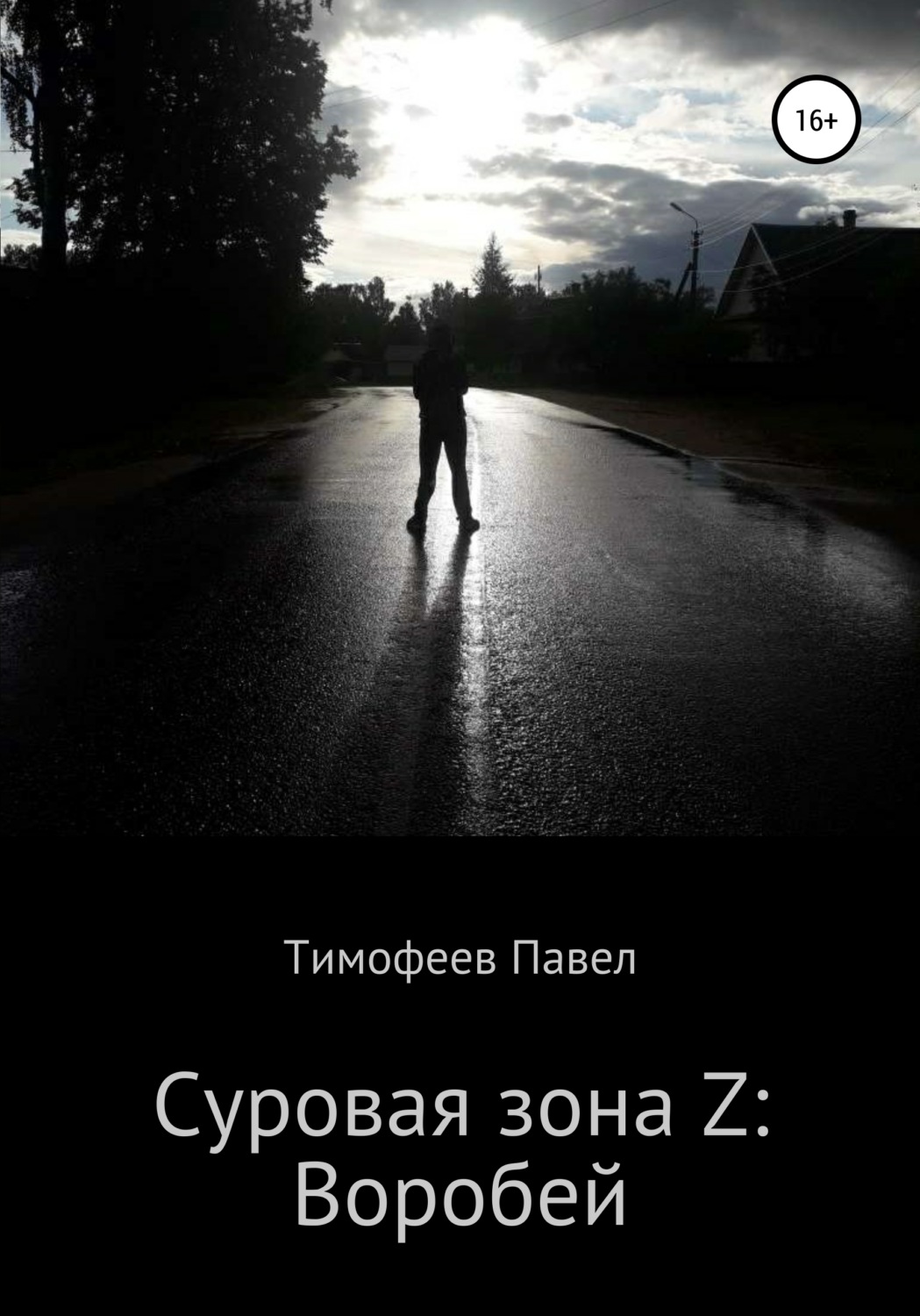 Обложка книги «Суровая зона Z: Воробей»