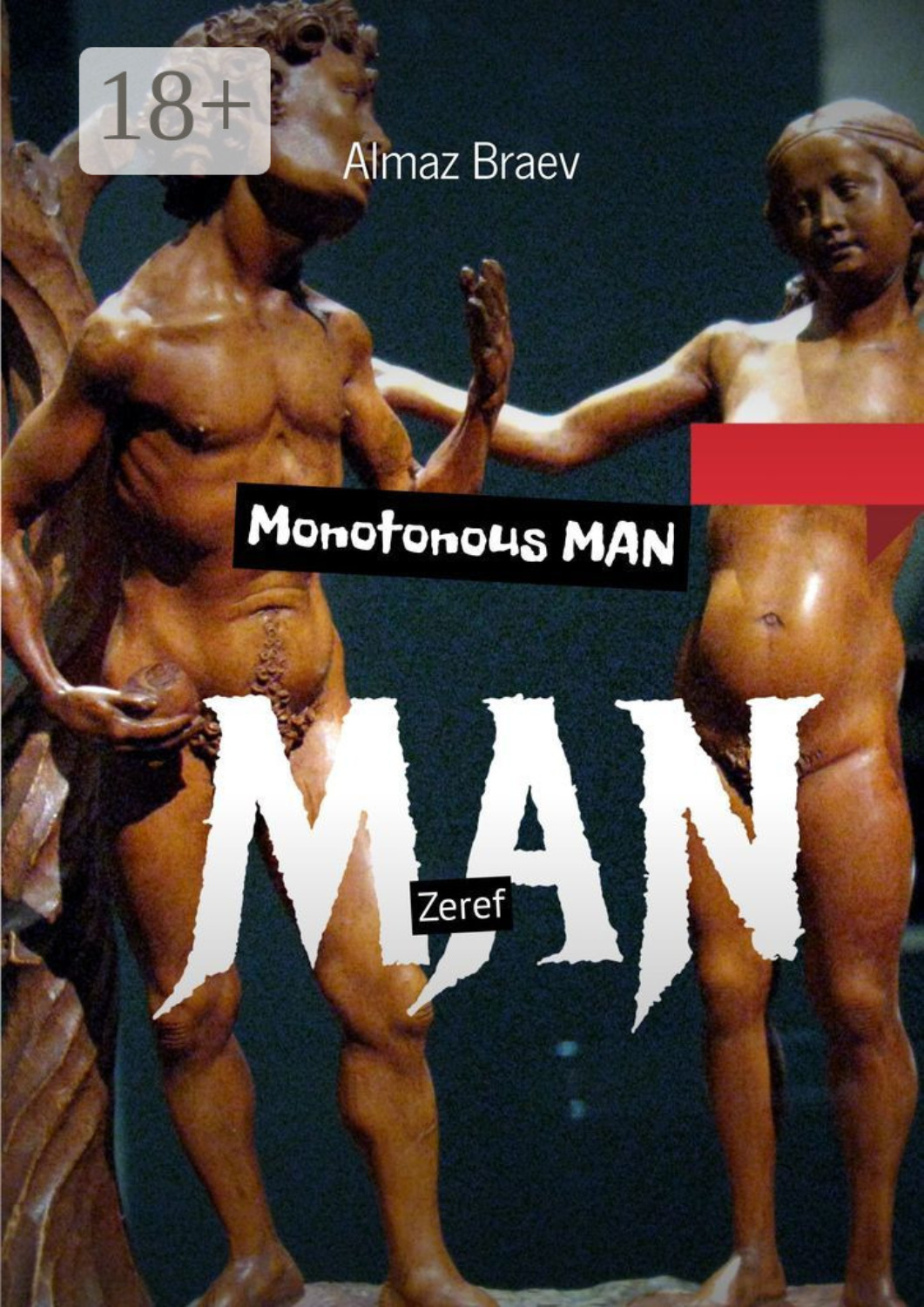 Обложка книги «Monotonous man. Zeref»