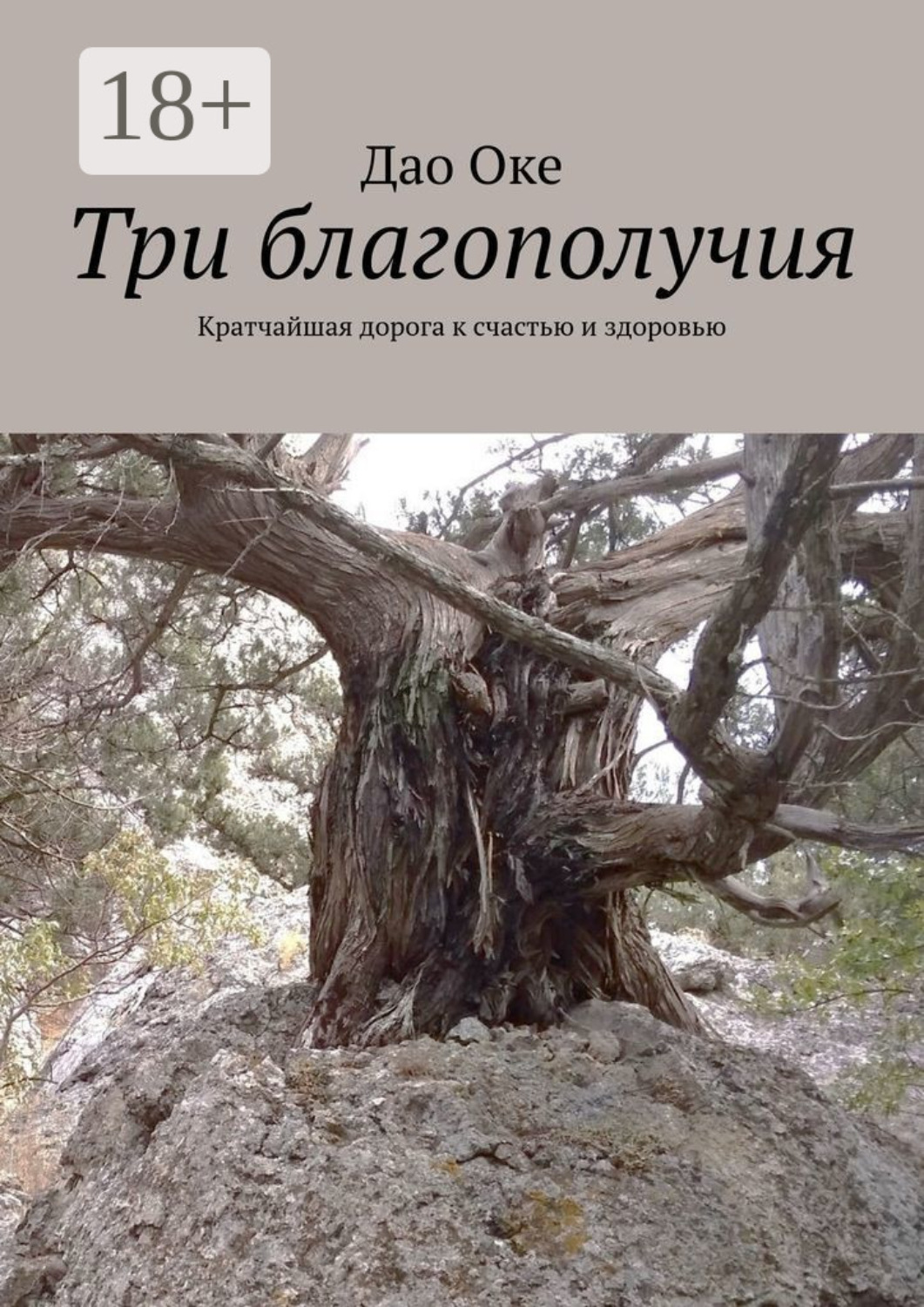 Обложка книги «Три благополучия. Кратчайшая дорога к счастью и здоровью»