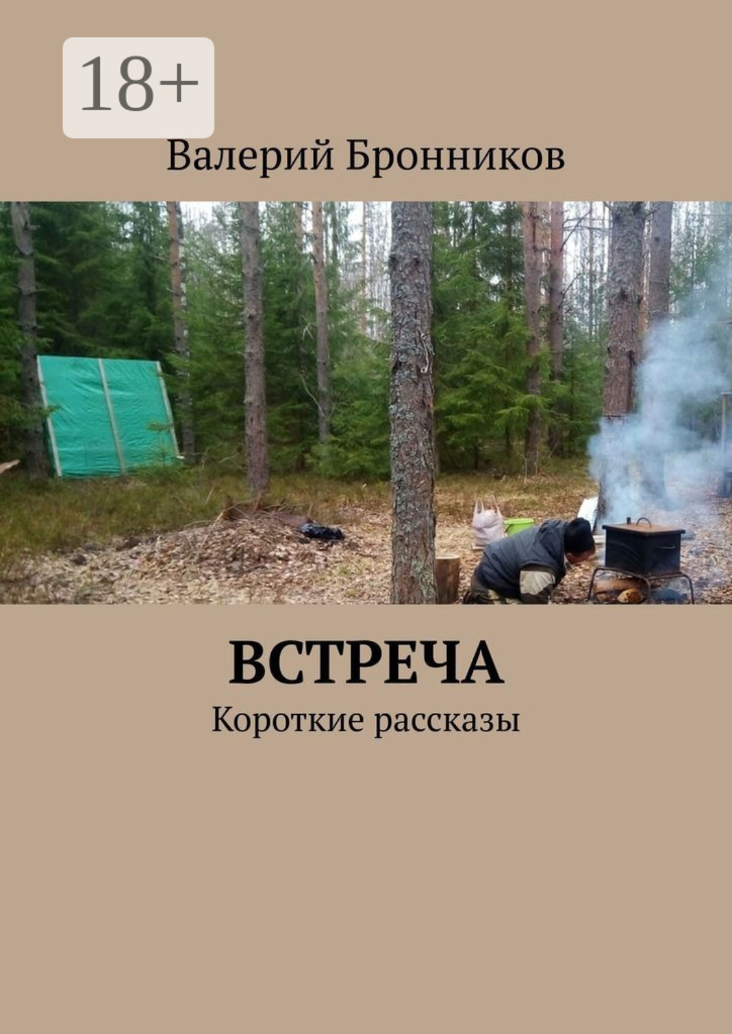 Обложка книги «Встреча. Короткие рассказы»
