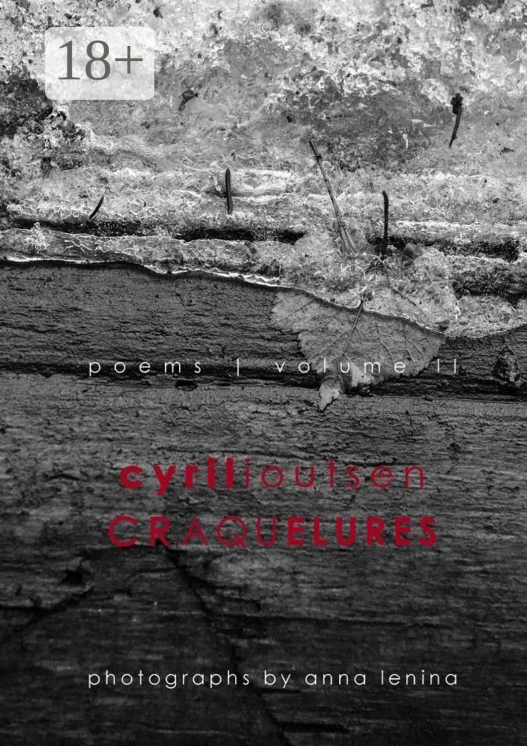Обложка книги «craquelures. poems, volume II»