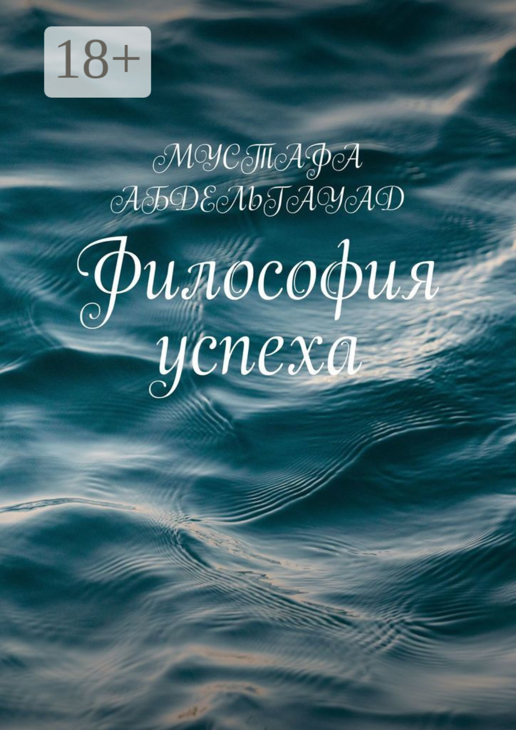 Обложка книги «Философия успеха»