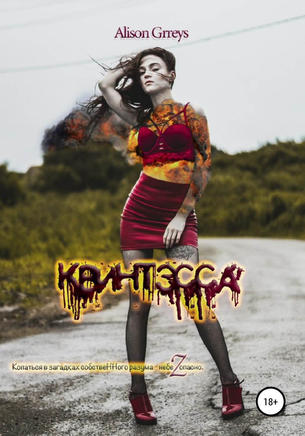 Обложка книги «Квинтэсса»