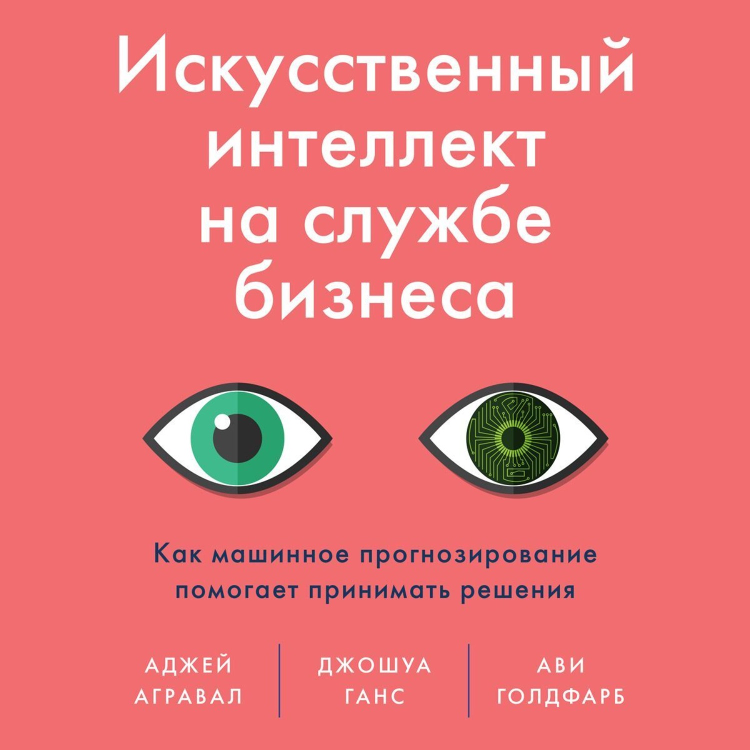 Обложка книги «Искусственный интеллект на службе бизнеса. Как машинное прогнозирование помогает принимать решения»