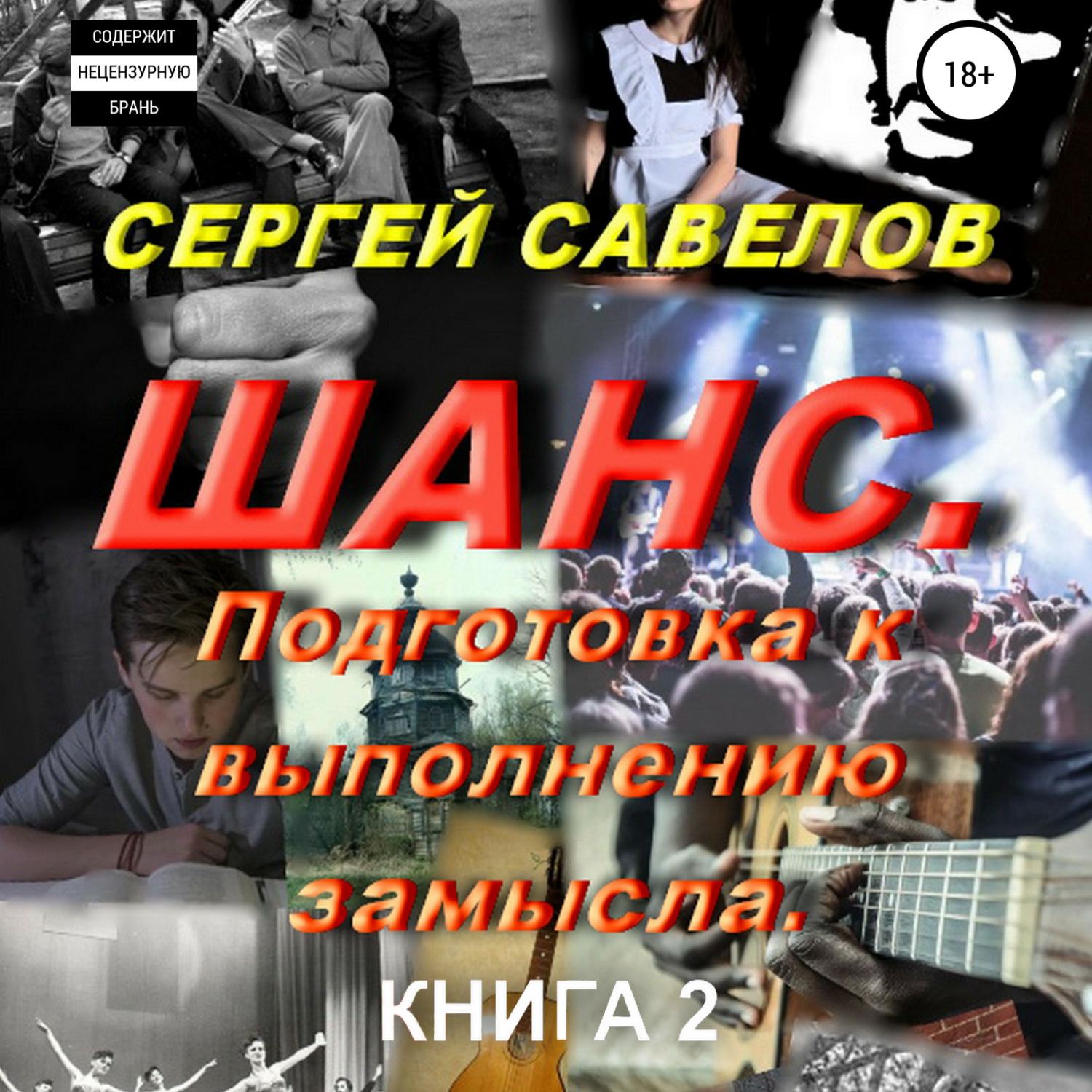 Обложка книги «Шанс. Подготовка к выполнению замысла. Книга 2»
