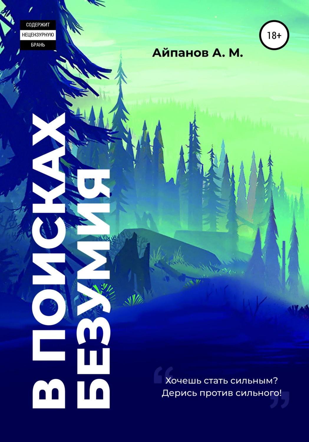 Обложка книги «В поисках безумия»
