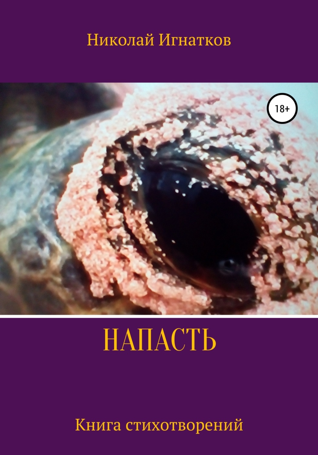 Обложка книги «Напасть. Книга стихотворений»
