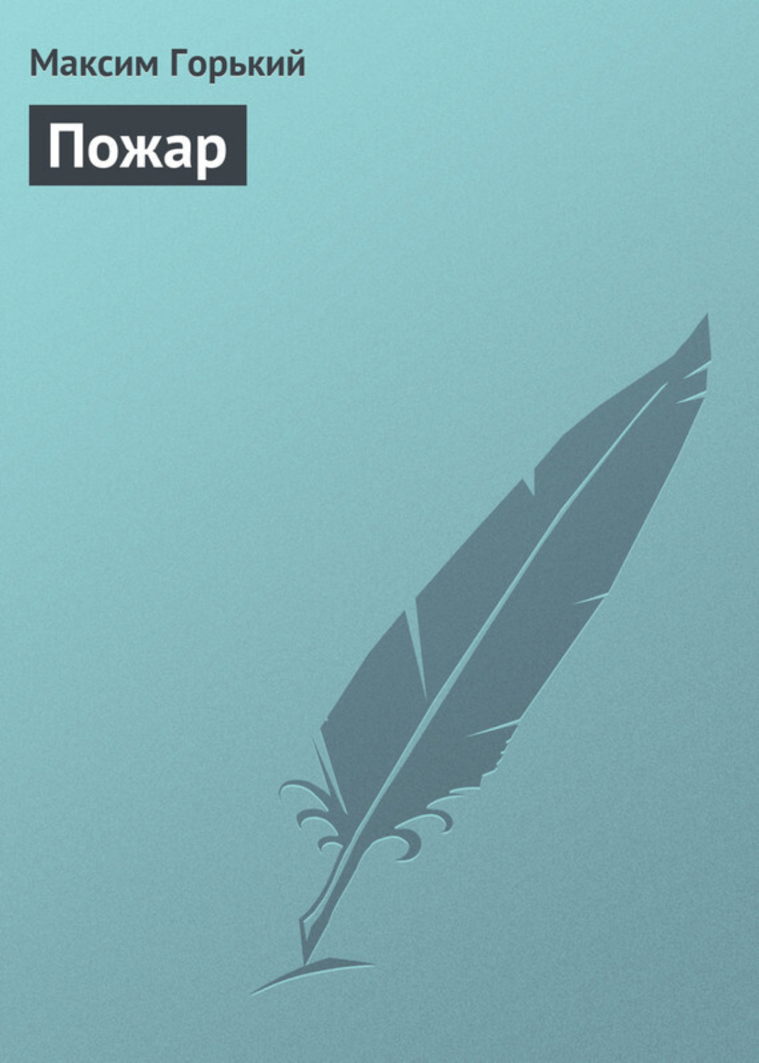 Обложка книги «Пожар»