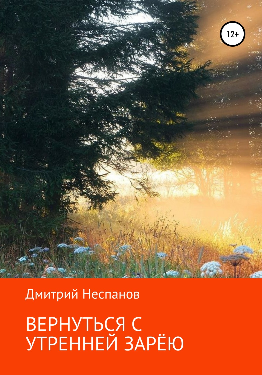 Обложка книги «Вернуться с утренней зарёю»