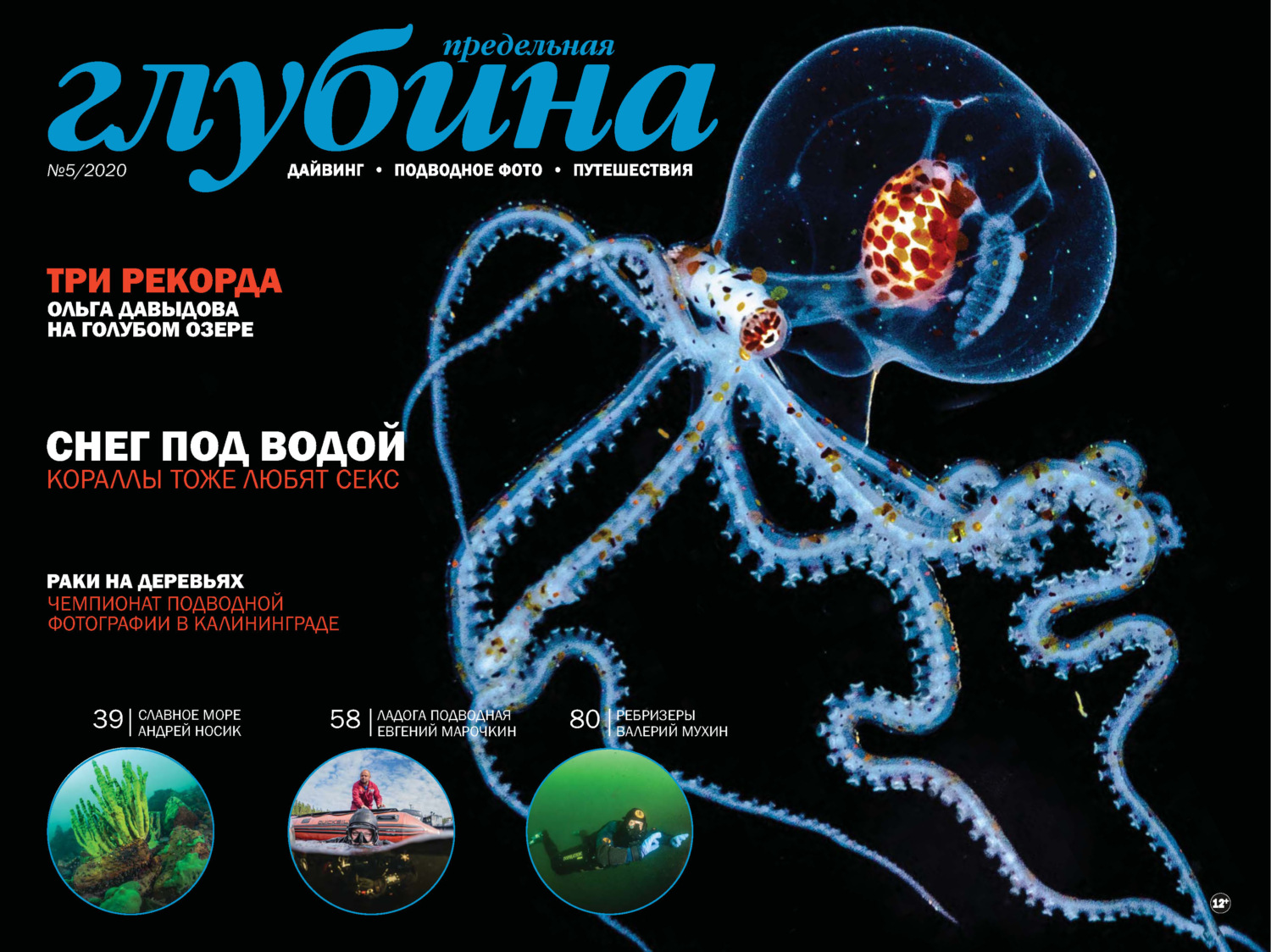 Обложка книги «Предельная Глубина №5/2020»